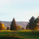 Royal City Golf Course - Golf Courses