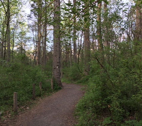 Ellanor C Lawrence Park - Chantilly, VA