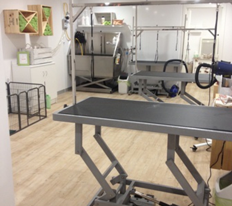 LIMElight Pet Salon - Buddina, QLD