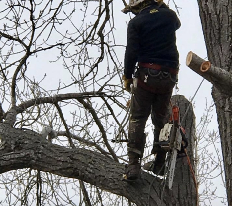 Out On A Limb Tree Service - Norman, OK