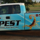 XPest Termite Pest and Lawn - Pest Control Services