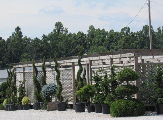 Payne Nursery - Sparta, TN