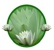 The Floating Lily Natural Therapy - Reflexology