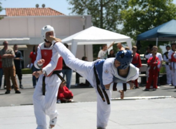 American Black Belt Academy - Peachtree City, GA