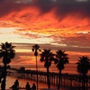Seahorse Resort gallery