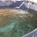 Hickling's Fish Farm Inc - Ponds & Pond Supplies