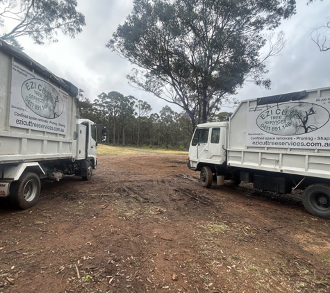 Ezi cut tree services - Hill Top, NSW