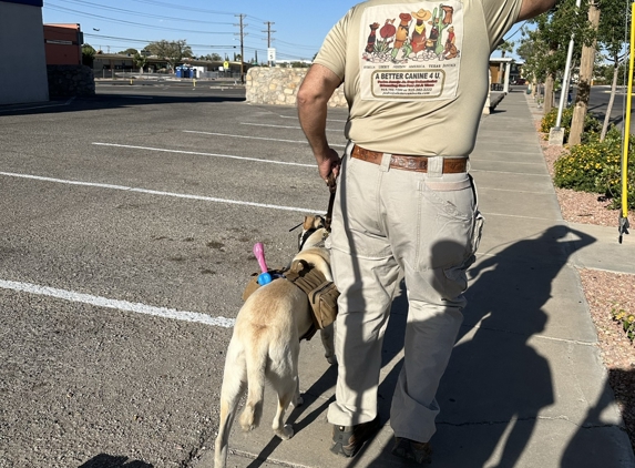 A Better Canine 4 You - El Paso, TX