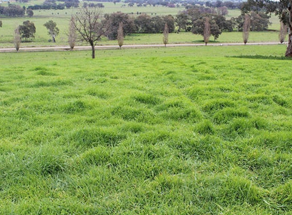 Holman Tolmie Pty Ltd - Cootamundra, NSW