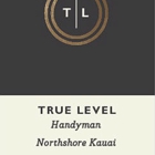 True Level LLC