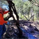 Central Sierra Pest Control - Pest Control Services