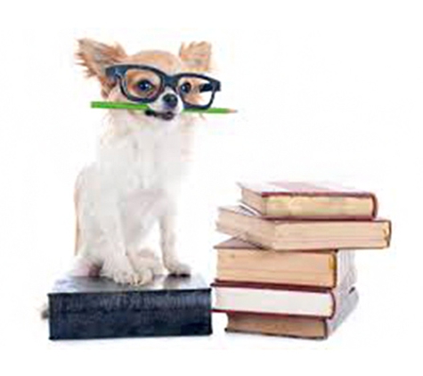 Peninsula Vet Care - Mount Eliza, VIC
