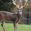 Bucks Exterior Solutions - Siding Contractors