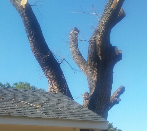 ArborPro Tree Care - Longdale, OK