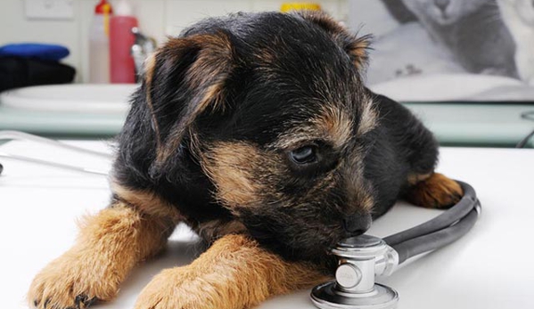 Peninsula Vet Care - Mount Eliza, VIC