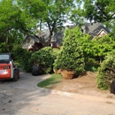 Atkins Tree Care - Arborists