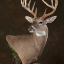 Antler Ridge Taxidermy, LLC. - Fine Art Artists