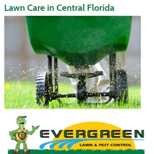 Evergreen Lawn & Pest Control - Apopka, FL