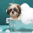 Animal Splash Grooming - Pet Grooming