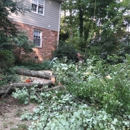 Greenline Landscaping - Tree Service