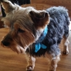 Joey's Bark & Bath gallery