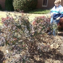 Jonesboro First United Methodist Church - United Methodist Churches