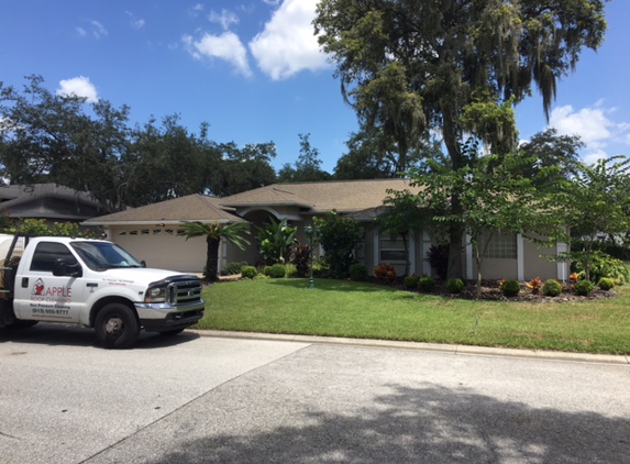 Apple Roof Cleaning Tampa Florida - Brandon, FL