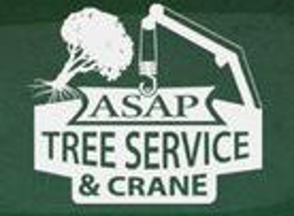 ASAP Tree and Crane Services - Indianapolis, IN