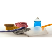 Gallery Image Number 8