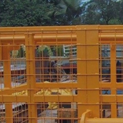 Gallery Image Number 2