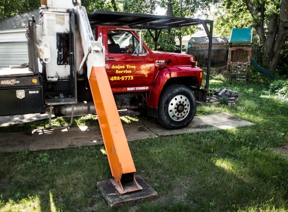 Anjoe Tree Service - Albany, NY