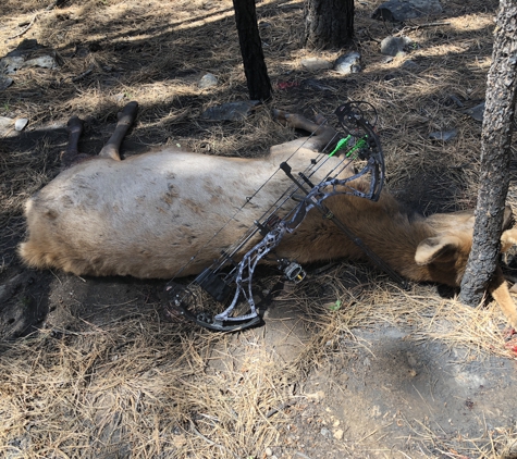 The Bow Shop - Yuma, AZ. Here’s my results of consistency not pushing the spike/bull on my hunt from my Archery 6A Bull 2018 tag. 