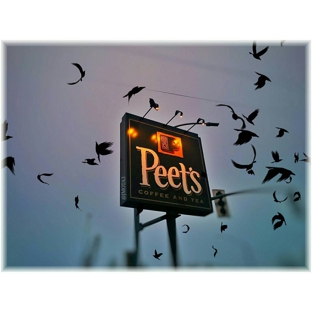 Peet's Coffee & Tea - Cotati, CA