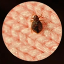 Sleeptite Thermal Bedbug Extermination, LLC - Pest Control Equipment & Supplies
