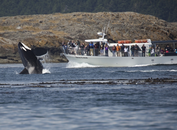 San Juan Safaris - Friday Harbor, WA