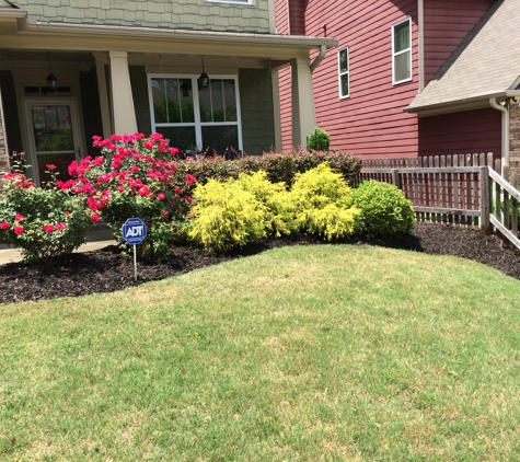 Tierra Bella Landscaping LLC - Acworth, GA