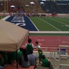 Alamo Stadium