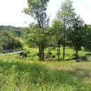 Sugar's Meadow Bed & Breakfast - Bed & Breakfast & Inns