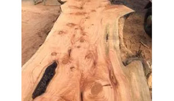 Mojo Tree And Stump Removal - Cowes, VIC