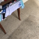 Rivero’’s Carpet Cleaning
