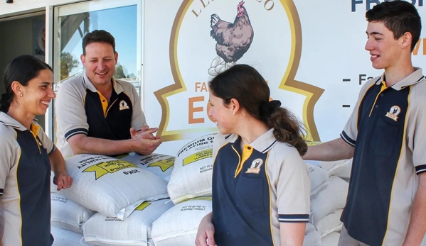 Llandilo Farm Fresh Eggs - Llandilo, NSW
