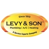 Levy & Son gallery