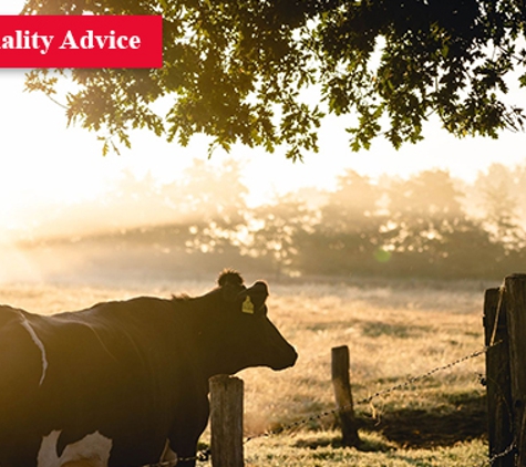 Agri Tech Services - Devonport, TAS. Milk Quality Advice