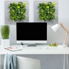 Vertical Foliage gallery