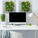 Vertical Foliage - Plants-Interior Design & Maintenance