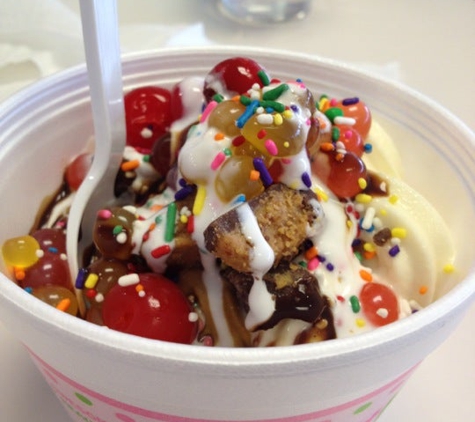 sweetFrog - Richmond, VA