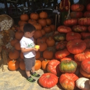 Brighter Beginnings in Child Care - Child Care