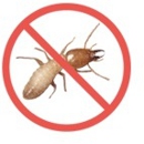 T.N.T Exterminators - Pest Control Services