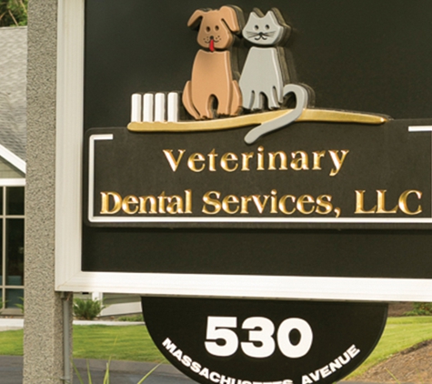 Veterinary Dental Services - Boxborough, MA
