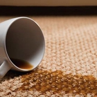 WB Carpet Cleaning